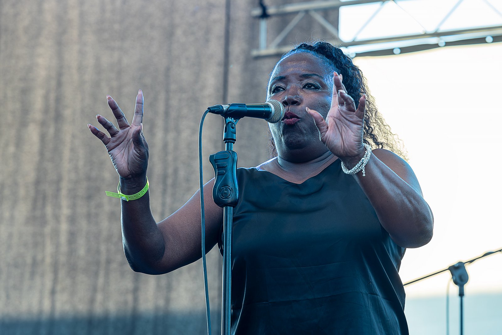 Festival Internacional de Blues de Béjar
