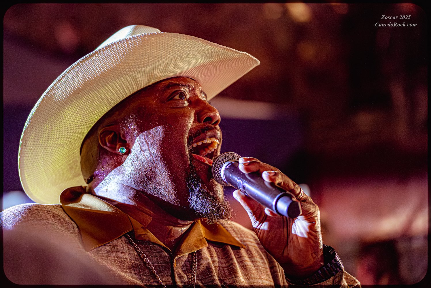 XXVI Blues Béjar Festival 2025