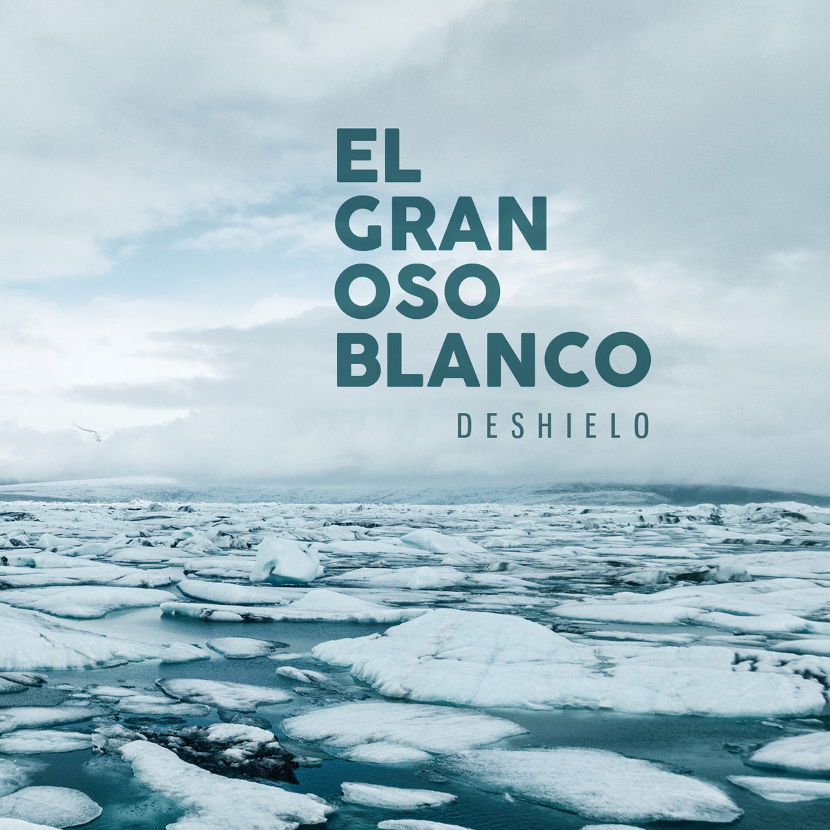 El gran oso blanco