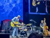 Eric Clapton + Andy Fairweather Low. Movistar Arena. Madrid.